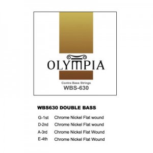 Double(Contra) Bass Olympia WBS-630 *