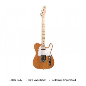 EX Speedy TL-250M NT E.Guitar