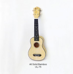 Ukulele 21