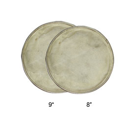Conga Drum Head 8