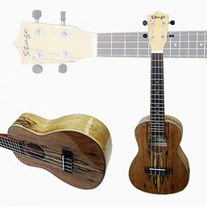 Ukulele 23