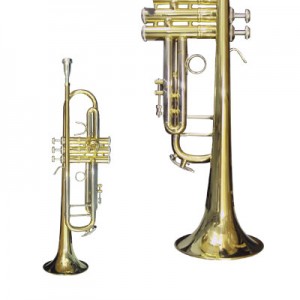 Bb Trumpet (G.Rhyme 510) 小號