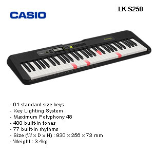 Casio LK-S250 (61) Keyboard +95100LE